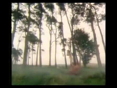 KATE BUSH Wuthering Heights Music Video